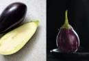 Benefits and Sides Effects of Brinjal