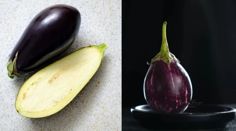 Benefits and Sides Effects of Brinjal